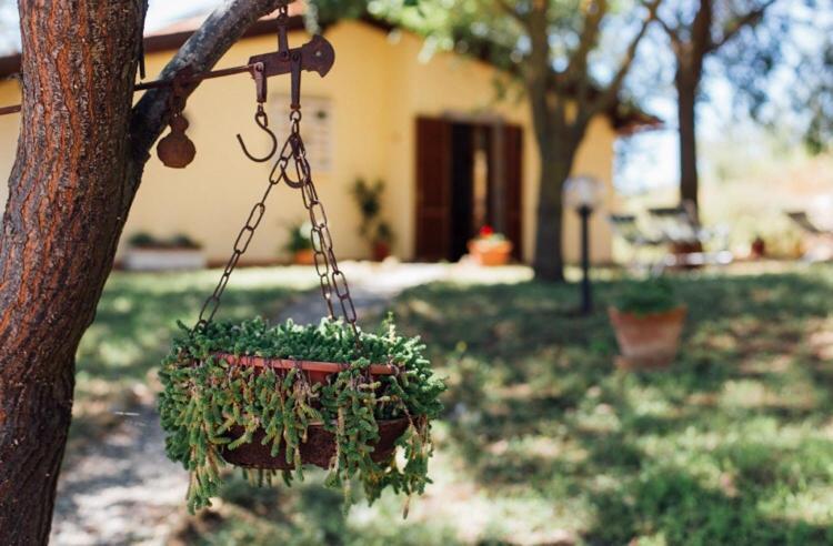 Agriturismo La Sorgente Fonteblanda Bagian luar foto