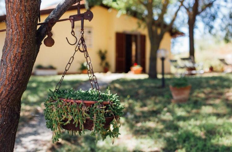 Agriturismo La Sorgente Villa Fonteblanda Bagian luar foto