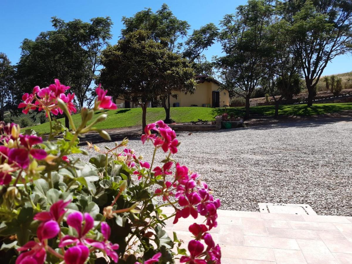 Agriturismo La Sorgente Fonteblanda Bagian luar foto