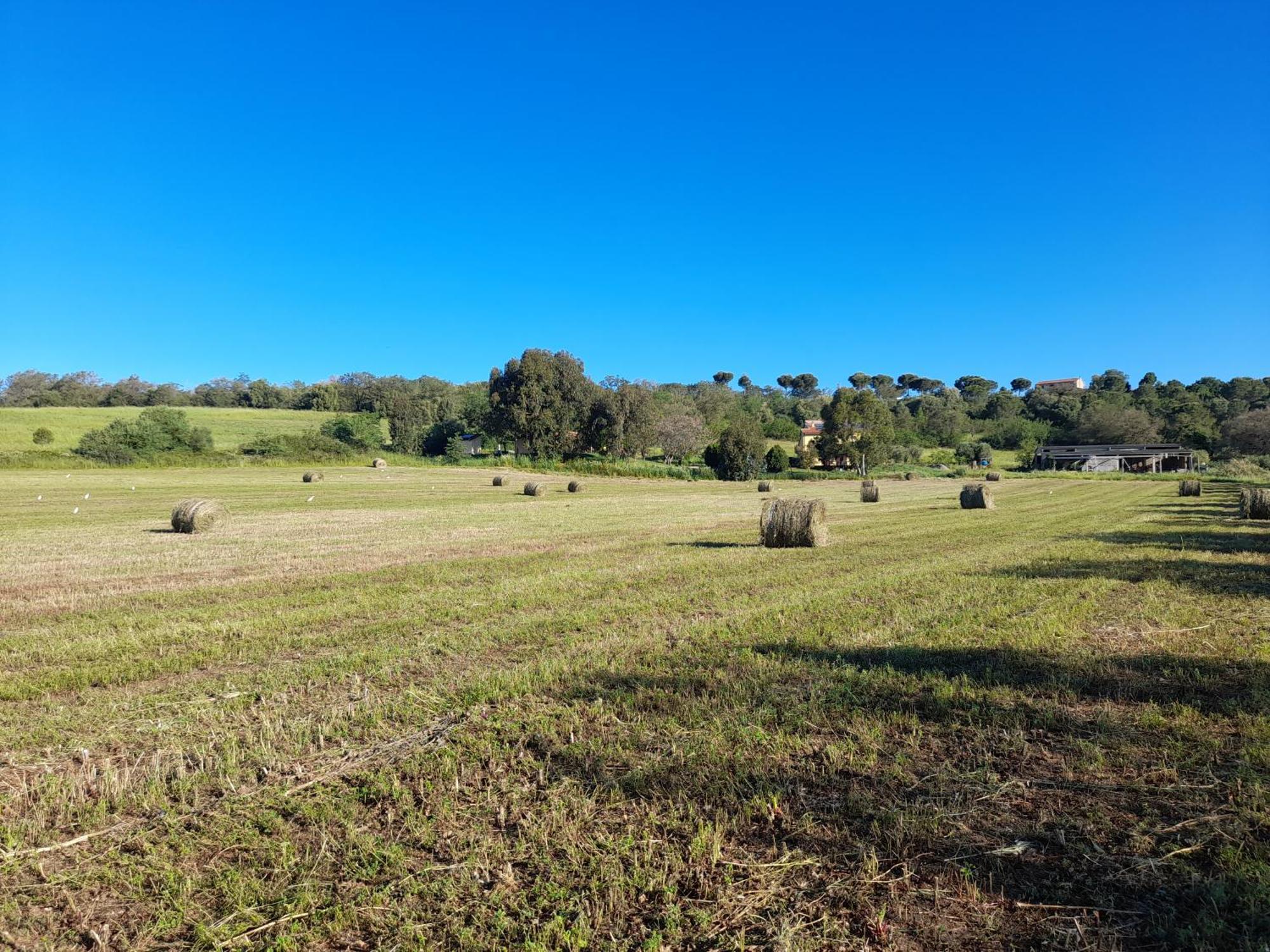 Agriturismo La Sorgente Fonteblanda Bagian luar foto